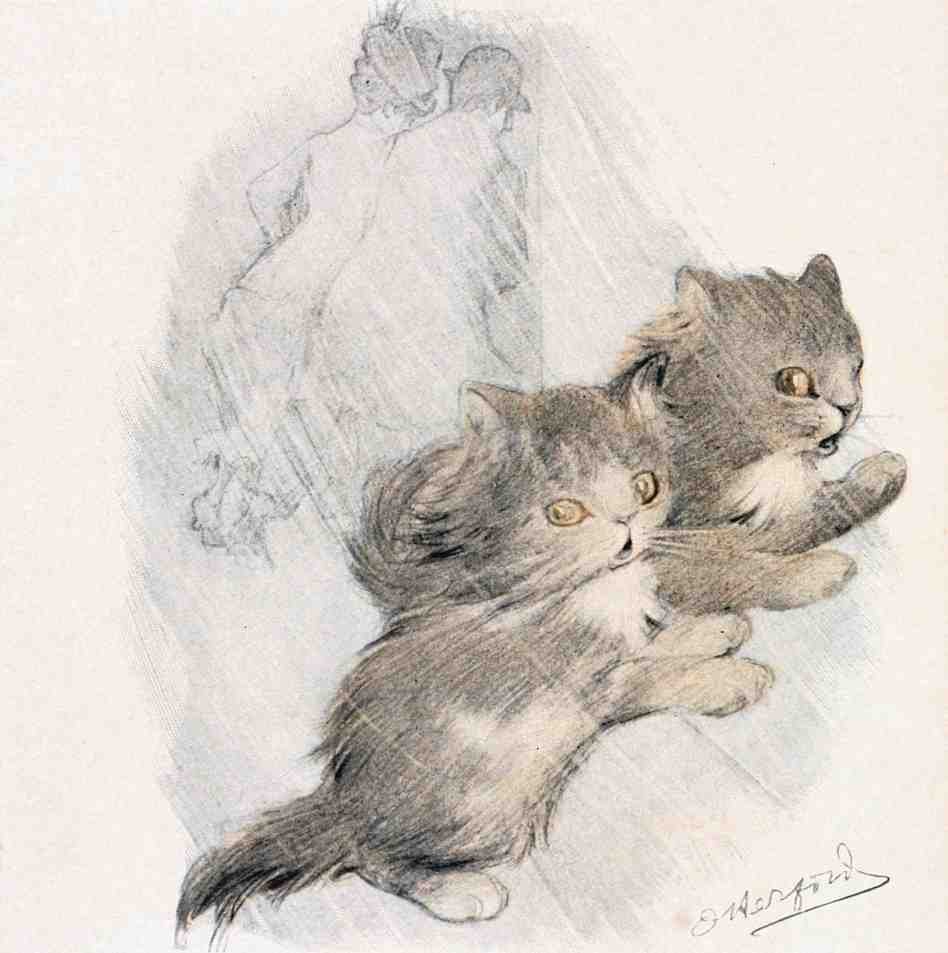 Illustrated Cat Book 2 085 Vintage Illustration A4 Photo Print