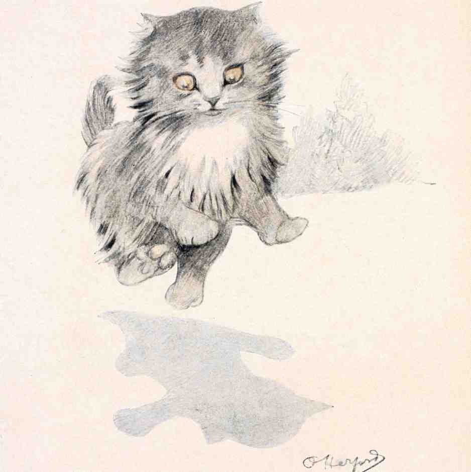 Illustrated Cat Book 2 086 Vintage Illustration A4 Photo Print
