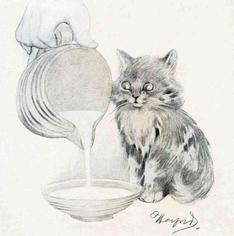 Illustrated Cat Book 2 090 Vintage Illustration A4 Photo Print