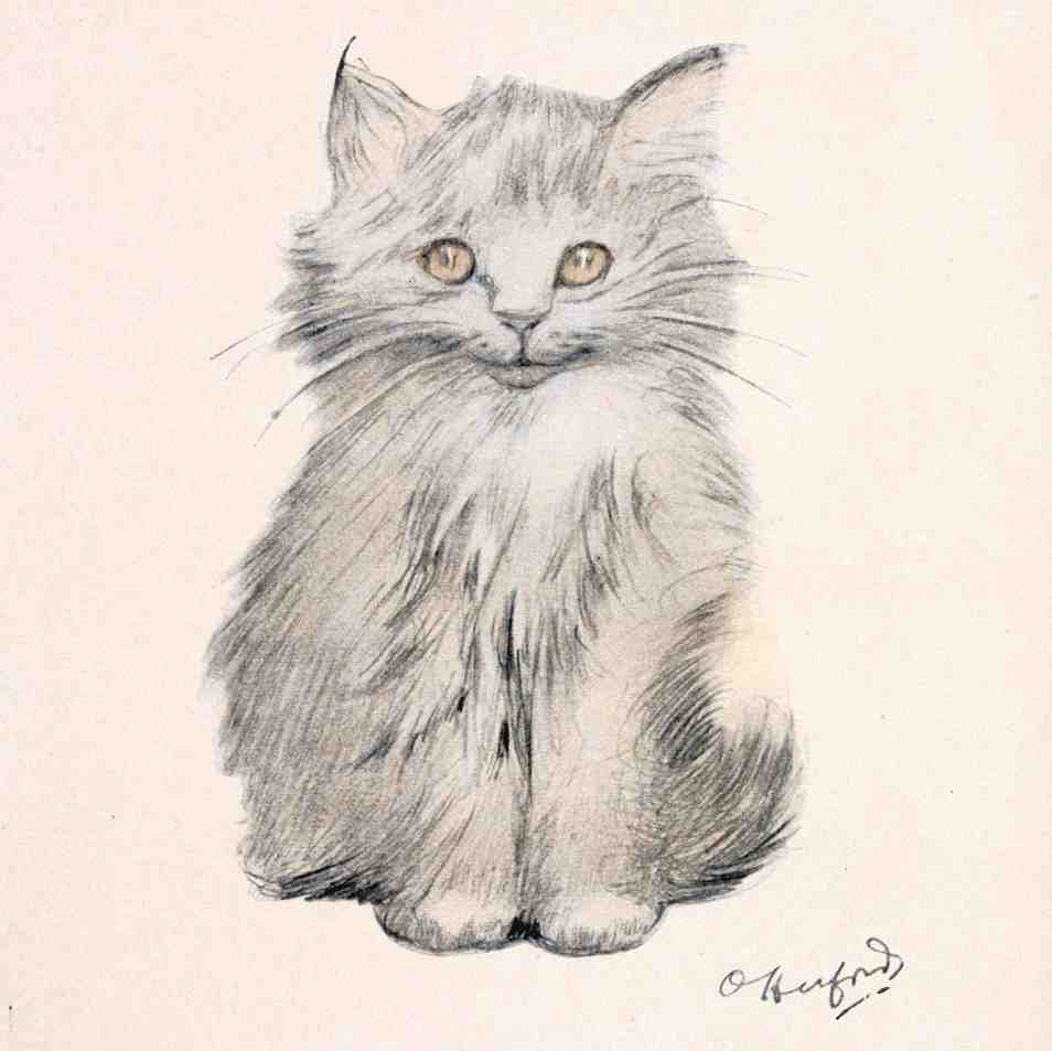 Illustrated Cat Book 2 091 Vintage Illustration A4 Photo Print
