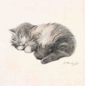 Illustrated Cat Book 2 092 Vintage Illustration A4 Photo Print