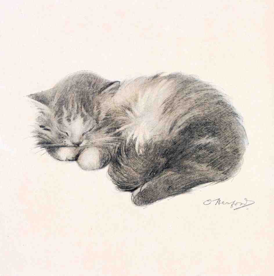 Illustrated Cat Book 2 092 Vintage Illustration A4 Photo Print