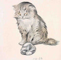 Illustrated Cat Book 2 093 Vintage Illustration A4 Photo Print