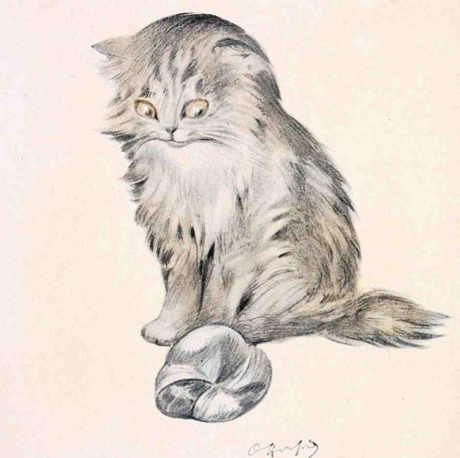 Illustrated Cat Book 2 093 Vintage Illustration A4 Photo Print