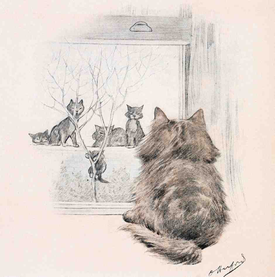 Illustrated Cat Book 2 096 Vintage Illustration A4 Photo Print