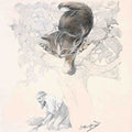 Illustrated Cat Book 2 098 Vintage Illustration A4 Photo Print
