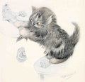 Illustrated Cat Book 2 099 Vintage Illustration A4 Photo Print