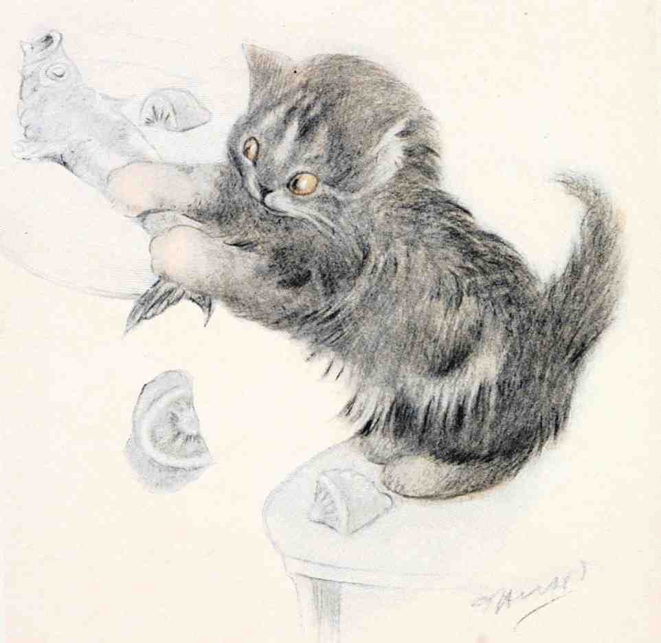 Illustrated Cat Book 2 099 Vintage Illustration A4 Photo Print