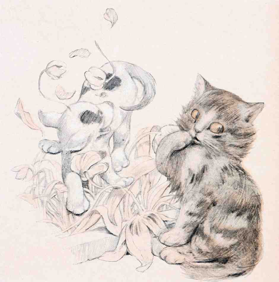 Illustrated Cat Book 2 101 Vintage Illustration A4 Photo Print