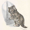 Illustrated Cat Book 2 102 Vintage Illustration A4 Photo Print