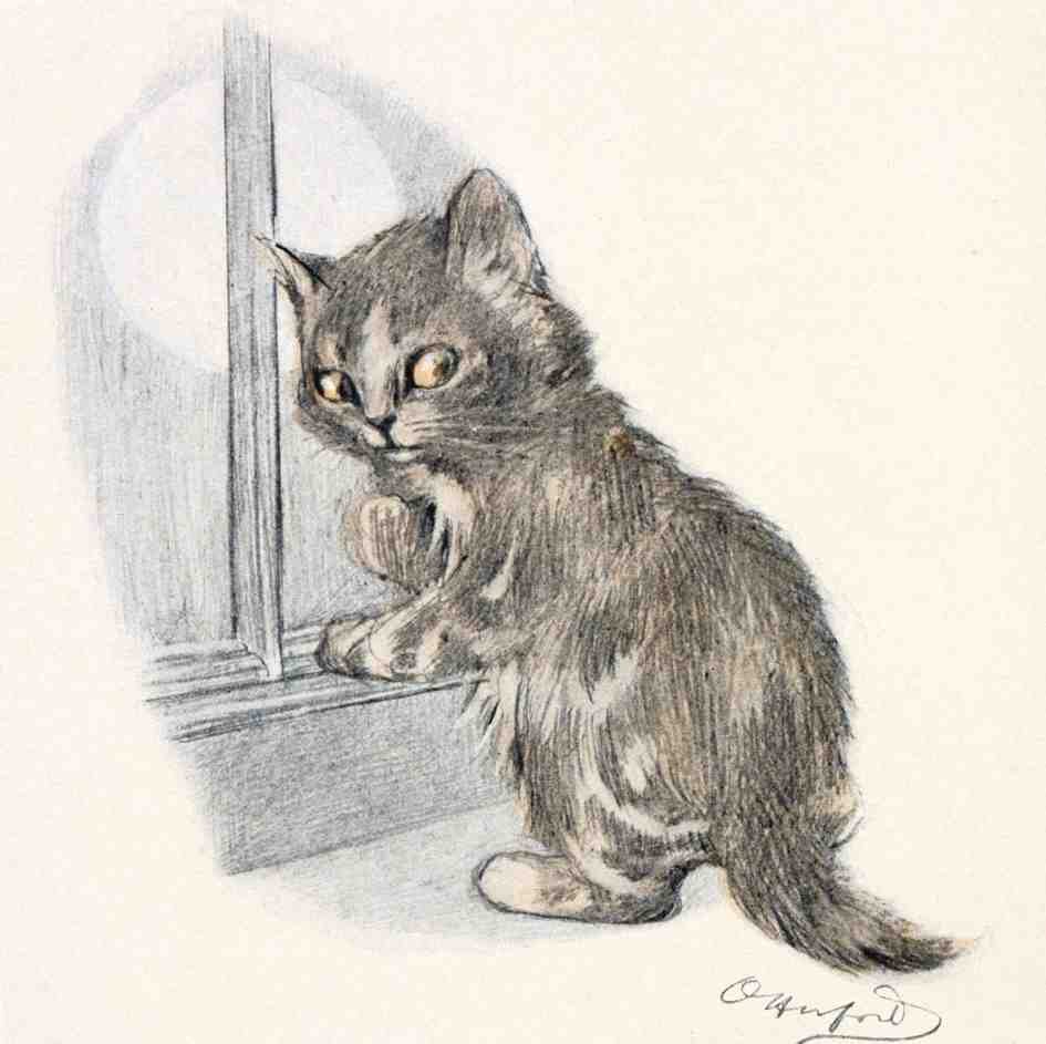 Illustrated Cat Book 2 102 Vintage Illustration A4 Photo Print
