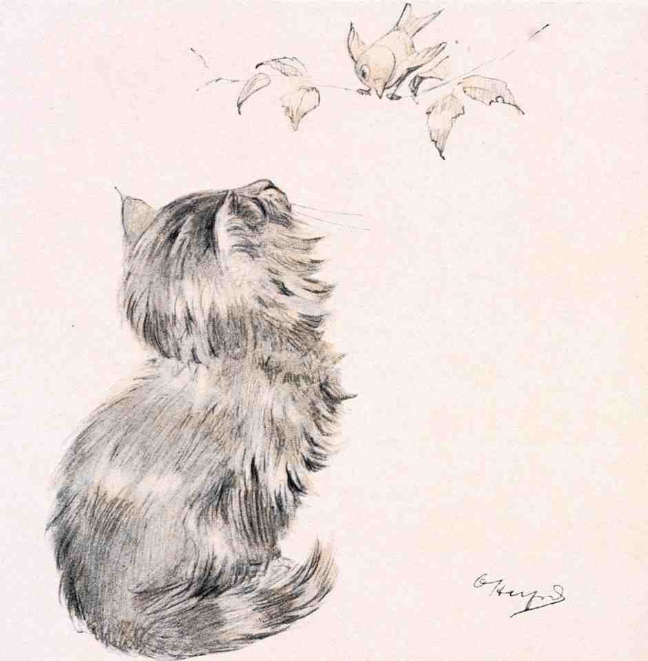 Illustrated Cat Book 2 104 Vintage Illustration A4 Photo Print