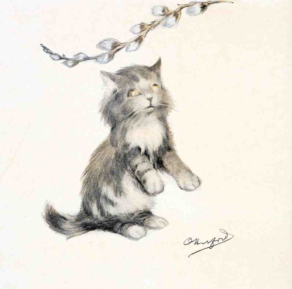 Illustrated Cat Book 2 105 Vintage Illustration A4 Photo Print