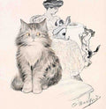 Illustrated Cat Book 2 107 Vintage Illustration A4 Photo Print