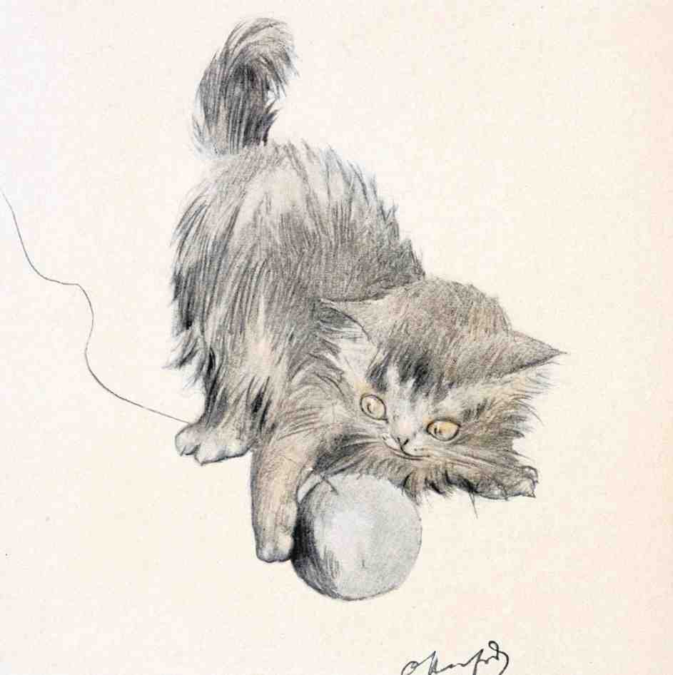 Illustrated Cat Book 2 108 Vintage Illustration A4 Photo Print
