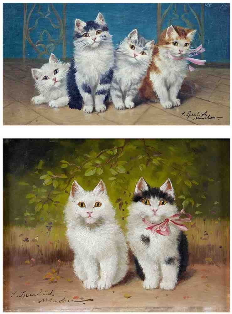 Illustrated Cat Book 2 110 Vintage Illustration A4 Photo Print