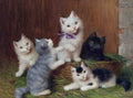 Illustrated Cat Book 2 112 Vintage Illustration A4 Photo Print