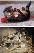 Illustrated Cat Book 2 115 Vintage Illustration A4 Photo Print