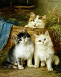 Illustrated Cat Book 2 117 Vintage Illustration A4 Photo Print