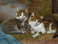 Illustrated Cat Book 2 118 Vintage Illustration A4 Photo Print