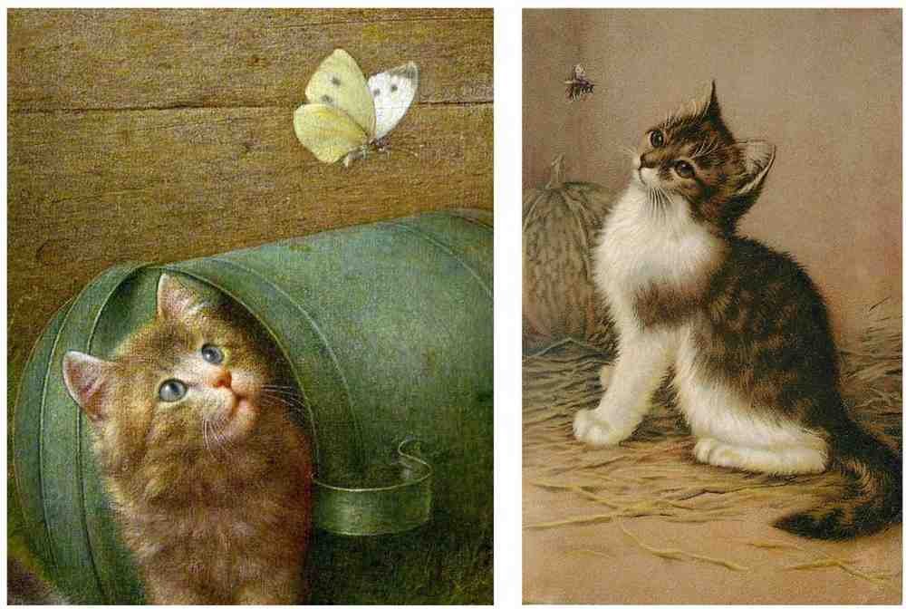 Illustrated Cat Book 2 120 Vintage Illustration A4 Photo Print