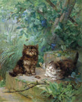 Illustrated Cat Book 2 122 Vintage Illustration A4 Photo Print