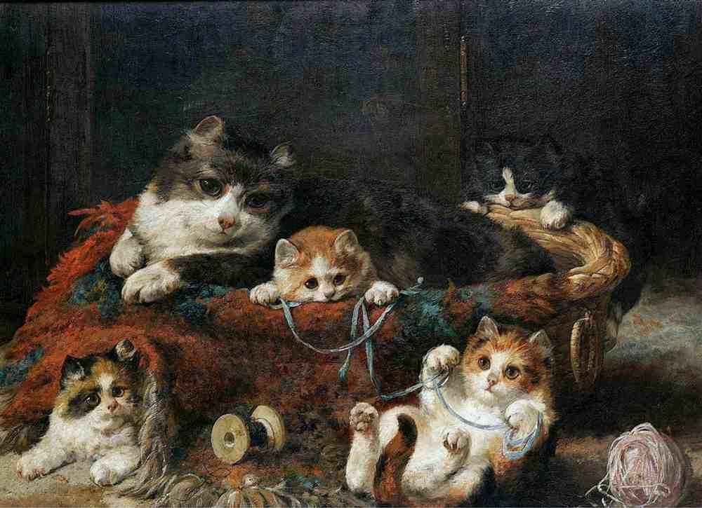 Illustrated Cat Book 2 123 Vintage Illustration A4 Photo Print