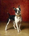 Illustrated Dog Book 1 006 Vintage Illustration A4 Photo Print
