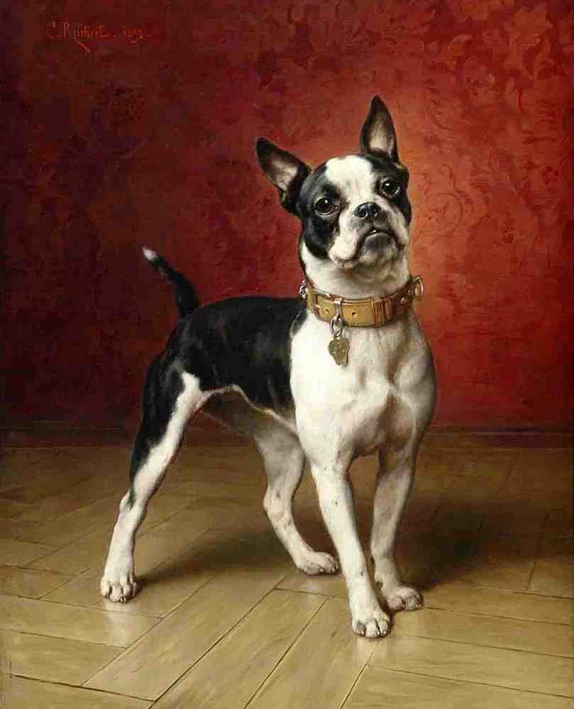 Illustrated Dog Book 1 006 Vintage Illustration A4 Photo Print