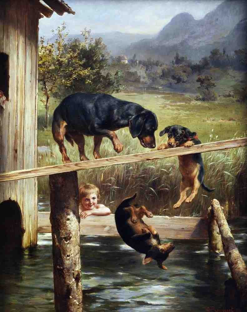 Illustrated Dog Book 1 008 Vintage Illustration A4 Photo Print