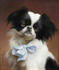 Illustrated Dog Book 1 011 Vintage Illustration A4 Photo Print