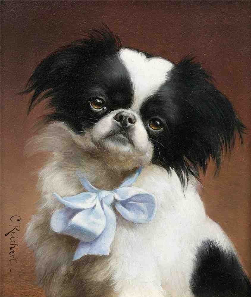 Illustrated Dog Book 1 011 Vintage Illustration A4 Photo Print