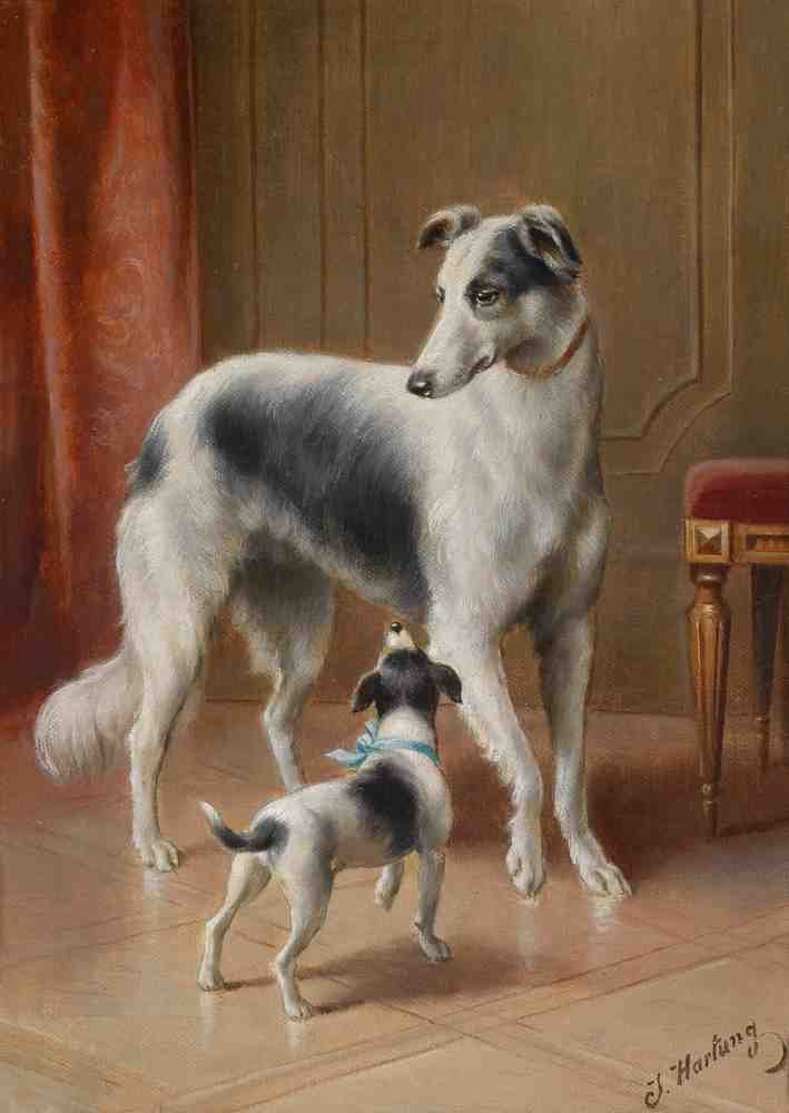Illustrated Dog Book 1 013 Vintage Illustration A4 Photo Print