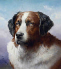Illustrated Dog Book 1 014 Vintage Illustration A4 Photo Print