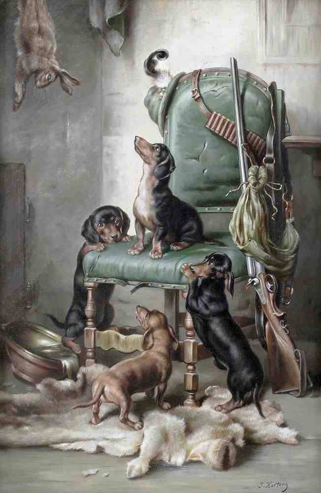 Illustrated Dog Book 1 015 Vintage Illustration A4 Photo Print