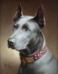 Illustrated Dog Book 1 016 Vintage Illustration A4 Photo Print