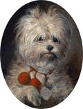 Illustrated Dog Book 1 017 Vintage Illustration A4 Photo Print