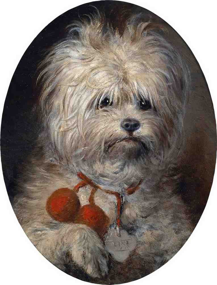 Illustrated Dog Book 1 017 Vintage Illustration A4 Photo Print