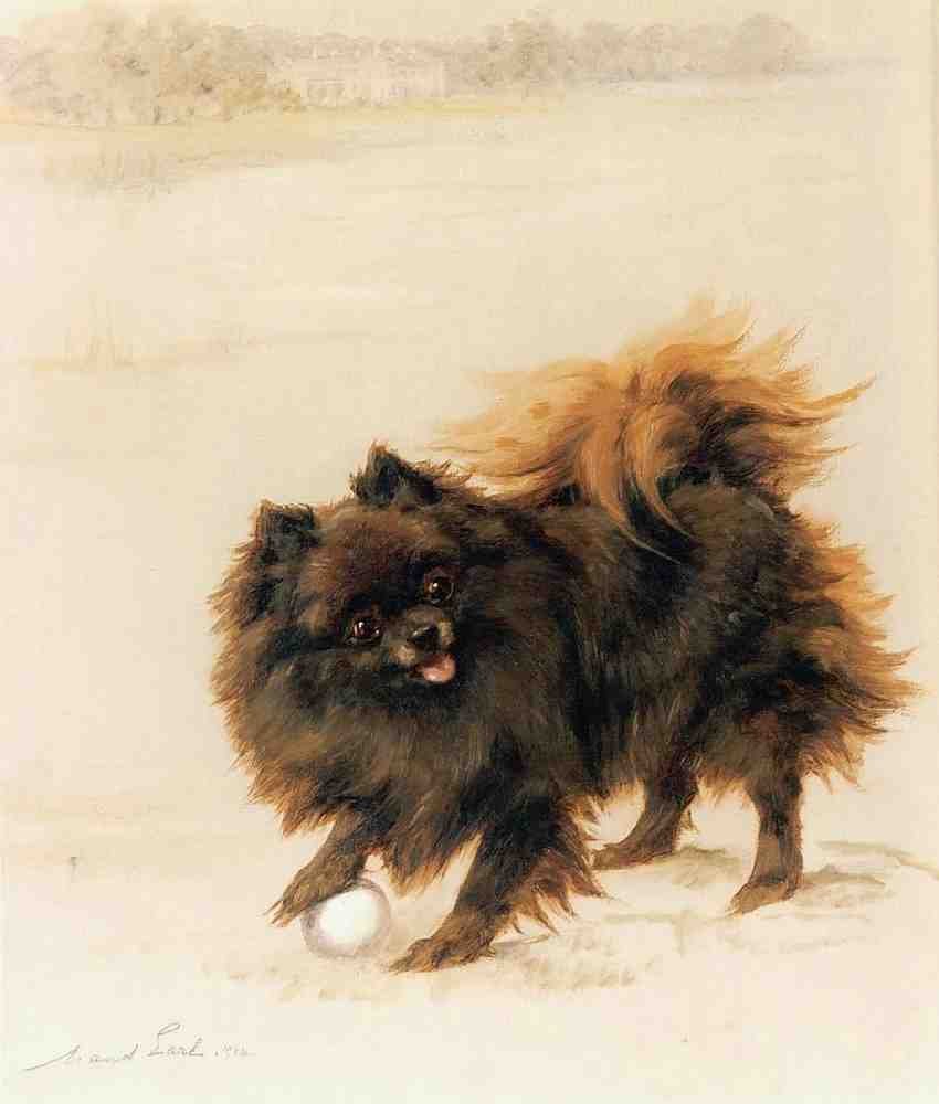 Illustrated Dog Book 2 057 Vintage Illustration A4 Photo Print