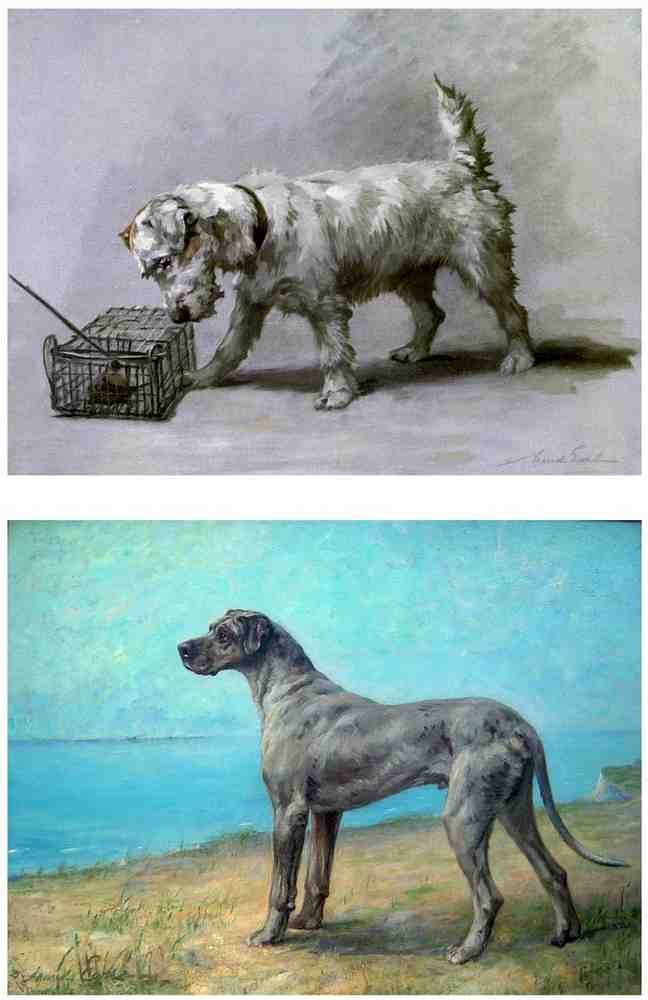 Illustrated Dog Book 2 058 Vintage Illustration A4 Photo Print