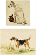 Illustrated Dog Book 2 059 Vintage Illustration A4 Photo Print