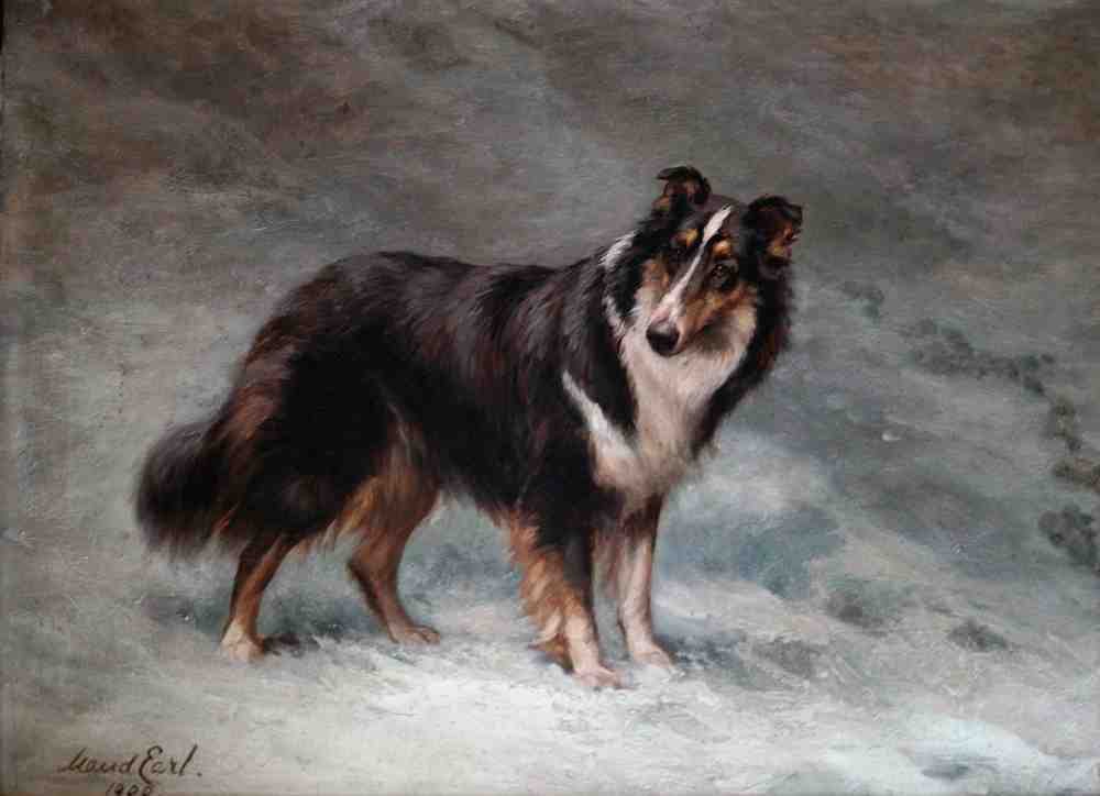 Illustrated Dog Book 2 063 Vintage Illustration A4 Photo Print