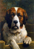 Illustrated Dog Book 2 072 Vintage Illustration A4 Photo Print