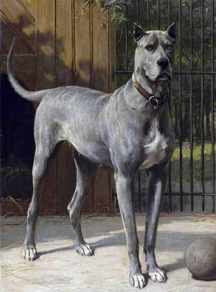 Illustrated Dog Book 2 073 Vintage Illustration A4 Photo Print