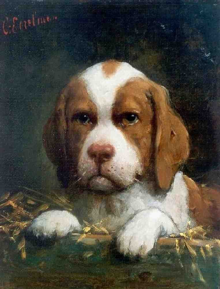 Illustrated Dog Book 2 074 Vintage Illustration A4 Photo Print