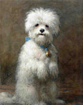 Illustrated Dog Book 2 075 Vintage Illustration A4 Photo Print