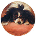 Illustrated Dog Book 2 076 Vintage Illustration A4 Photo Print