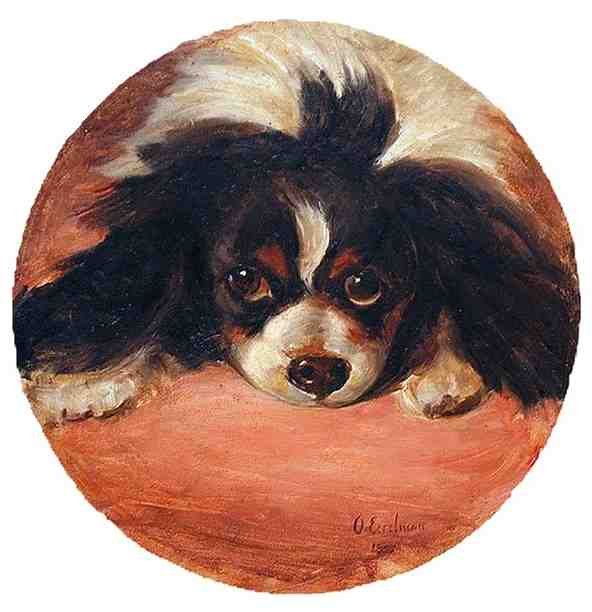 Illustrated Dog Book 2 076 Vintage Illustration A4 Photo Print