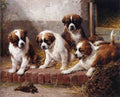Illustrated Dog Book 2 077 Vintage Illustration A4 Photo Print