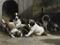Illustrated Dog Book 2 078 Vintage Illustration A4 Photo Print